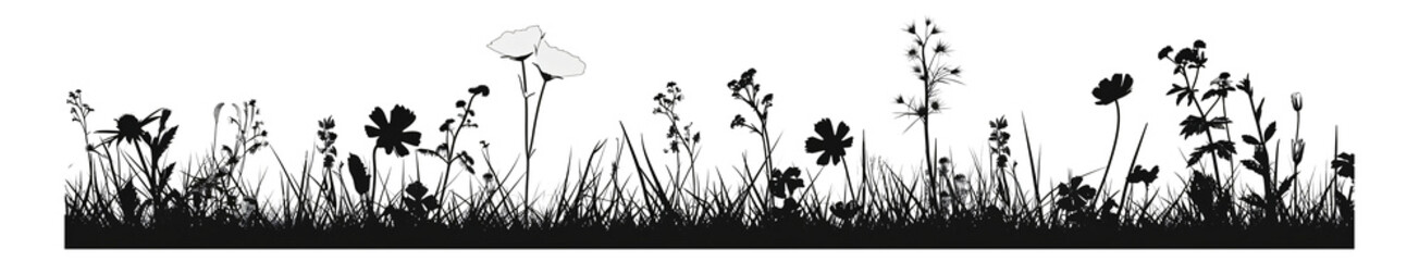 Wild flowers in black and white silhouette.