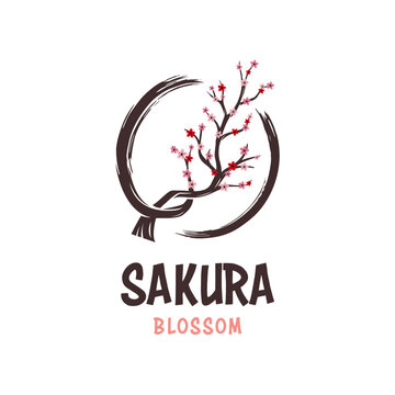 Sakura cherry tree blossom in enso zen circle vector image. Blossoming branch of oriental cherry in black enso logo vector.