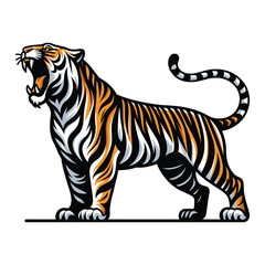 Fototapeta na wymiar Wild roaring tiger full body vector illustration, zoology illustration, animal predator big cat design template isolated on white background