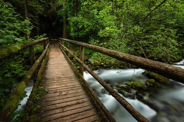 A wooden pedestrian bridge over the river Schwarzbach near the Golling Waterfall in Austria © Simona Machackova