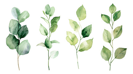 Watercolor painting of leaves on a white background. - obrazy, fototapety, plakaty