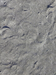 The texture of fine gray sea sand with small stones