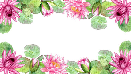 Frame pink water lilies isolated on white background. Watercolor hand drawing botanical illustration. Art for design