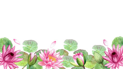 Border pink water lilies isolated on white background. Watercolor hand drawing botanical illustration. Art for design.