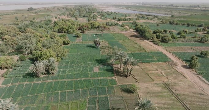 Aerial fly over. Small scale vegetable farms in Senegal, Sahel region. Drought, Climate Change, Desertification