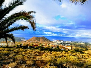 Panorama with background of mountains and sea,gin palm trees and bushes