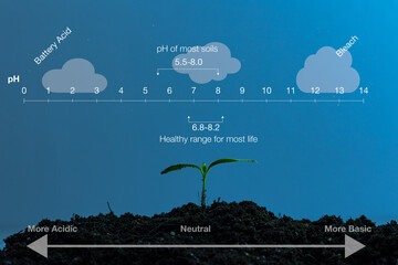 Illustration depicting the pH scale ranging from 0 to 14, representing the balance between acidity...