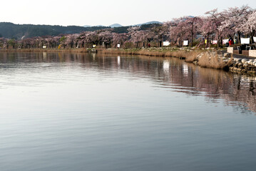 Fototapeta na wymiar View of the lakeside in spring