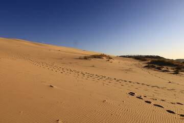 The Dune of Pilat is the tallest sand dune in Europe. It is located in La Teste-de-Buch in the...