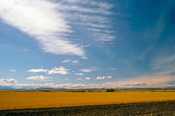 Field, Montana