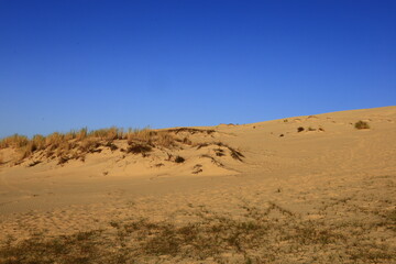 The Dune of Pilat is the tallest sand dune in Europe. It is located in La Teste-de-Buch in the Arcachon Bay area, France