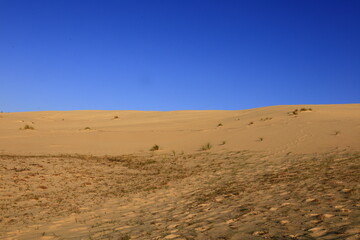 The Dune of Pilat is the tallest sand dune in Europe. It is located in La Teste-de-Buch in the Arcachon Bay area, France