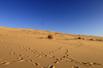 The Dune of Pilat is the tallest sand dune in Europe. It is located in La Teste-de-Buch in the Arcachon Bay area, France