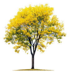 A lone yellow tree stands out against the white background.