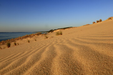 The Dune of Pilat is the tallest sand dune in Europe. It is located in La Teste-de-Buch in the Arcachon Bay area, France
