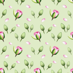 Fototapeta na wymiar Seamless pattern of pink water lilies isolated on a colored background. Hand drawn watercolor illustration. Art Design