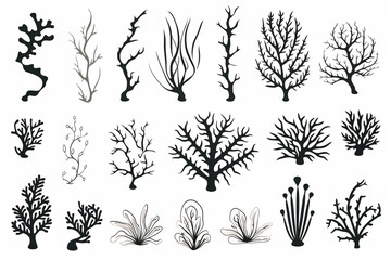 Seperangkat siluet karang dan rumput laut yang digambar tangan terisolasi dengan latar belakang putih
