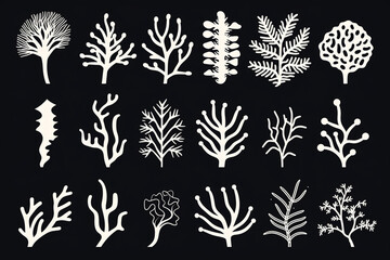 Seperangkat siluet karang dan rumput laut yang digambar tangan terisolasi dengan latar belakang putih - obrazy, fototapety, plakaty