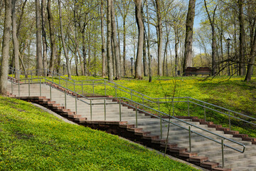 Spring sunny day, steps in the old park, a lot of green grass. Seasons. Natural background.