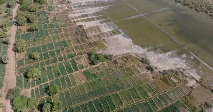 High aerial fly over.  Encroaching soil salinity causing sodic soils which prevents water drainage deeming the land unless for vegetable farming, too much salt. Sahel, Drought, Climate change