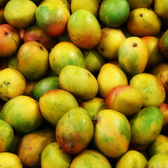 Mango Background. Ripe Fruit Backdrop. Tropical Delicious healthy Snack. Square Backdrop