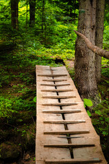 Narrow wooden bridge over a mountain river