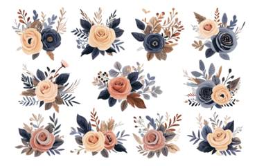 set of floral rose illustrations