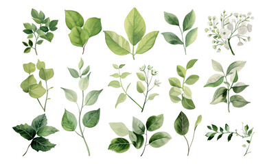 Obraz premium Set of green watercolor floral leaves