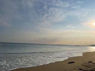 渥美半島 菜の花まつり