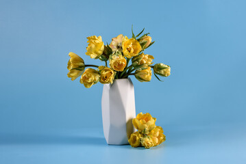 Mothers day, Greeting card. Congratulations concept, March 8. Sunlit Yellow Tulips in Vase. Close-up of vibrant yellow tulips bathed in soft natural light, emanating freshness and spring vibes.
