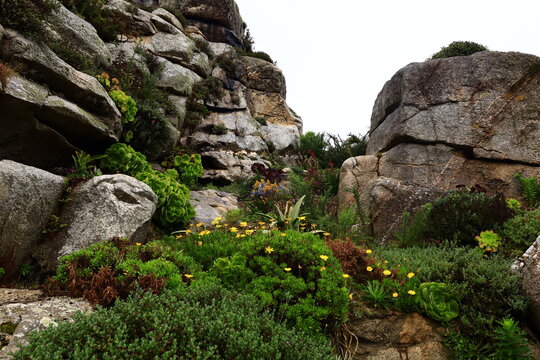 The Exotic Garden of Roscoff is a botanical garden located in Roscoff, Finistère, in the region of Brittany