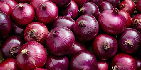 red onions background