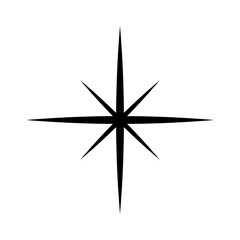 sparkling star glitter icon vector design in trendy style