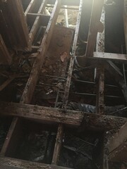 Investors and investments