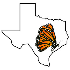 Texas State Butterfly Monarch 