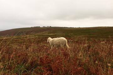 View of the Tip of Beuzec located in the town of Beuzec-Cap-Sizun in the department of Finist&egrave;re, Brittany.