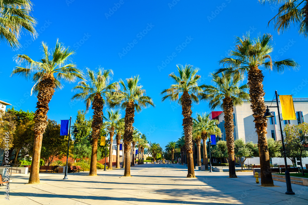 Canvas Prints Paseo de Cesar Chavez at San Jose State University in California, United States