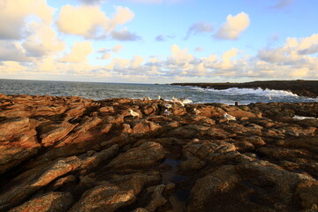 Obraz premium The peninsula of Quiberon is a French peninsula located in Morbihan, Brittany