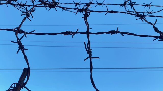 barbed wire against the sky on a high fence.