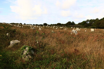 The Carnac stones are an exceptionally dense collection of megalithic sites near the south coast of Brittany in northwestern France