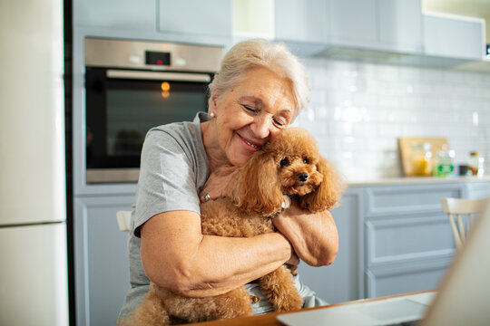 Elderly woman with her dog working on laptop at home