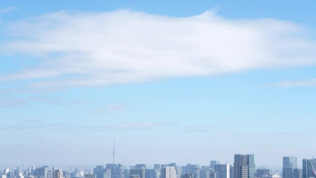 渋谷からみた都市景観