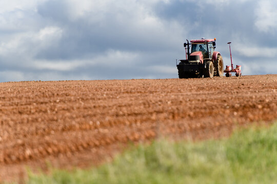TRACTOR LABRANDO UN HUERTO