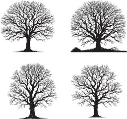 Tree silhouette without leaves, vector artwork of a tree