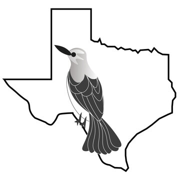 recommend clip art: Texas Map Outline with Texas State Bird Mockingbird