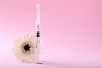Cosmetology. Medical syringe and gerbera flower on pink background, space for text
