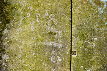Green Weathered Concret Wall Texture