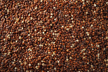 Red quinoa grains. Seeds of red quinoa - Chenopodium quinoa background texture	 - 748859941