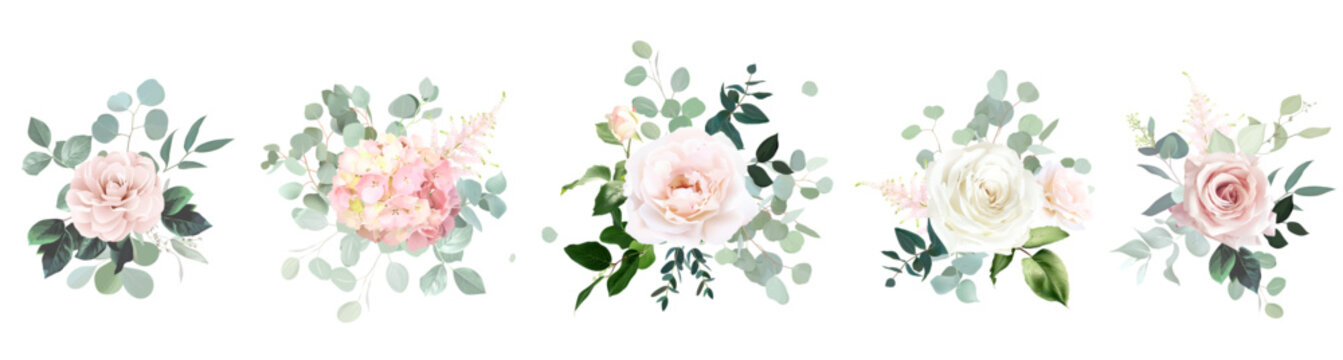 Pale pink and dusty beige rose, peach hydrangea, mint eucalyptus, greenery vector design floral bouquets