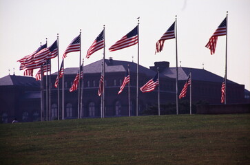 Obraz premium U.S. flags at the National Mall in Washington, D.C., the United States